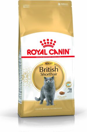 Royal Canin British Shorthair karma sucha dla kotów dorosłych rasy brytyjski krótkowłosy 10kg 1