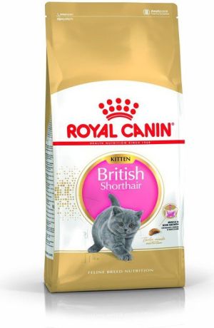 Royal Canin British Shorthair Kitten karma sucha dla kociąt, do 12 miesiąca, rasy brytyjski krótkowłosy 10kg 1