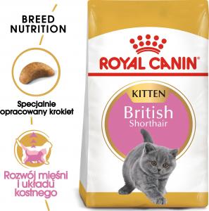 Royal Canin British Shorthair Kitten karma sucha dla kociąt, do 12 miesiąca, rasy brytyjski krótkowłosy 10kg 3