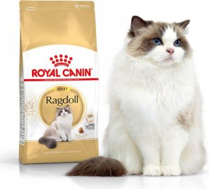Royal Canin Ragdol Adult karma sucha dla kotów dorosłych rasy ragdoll 10kg 1
