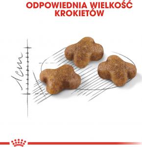 Royal Canin Kitten karma sucha dla kociąt od 4 do 12 miesiąca życia 10 kg 4