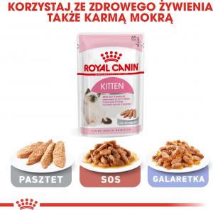 Royal Canin Kitten karma sucha dla kociąt od 4 do 12 miesiąca życia 10 kg 5