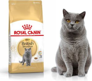 Royal Canin British Shorthair karma sucha dla kotów dorosłych rasy brytyjski krótkowłosy 4kg 2