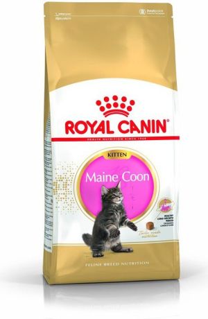 Royal Canin Maine Coon Kitten karma sucha dla kociąt, do 15 miesiąca, rasy maine coon 4kg 1