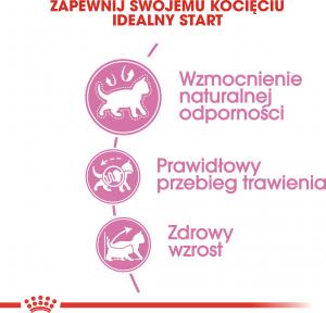 Royal Canin Kitten karma sucha dla kociąt od 4 do 12 miesiąca życia 4kg 3