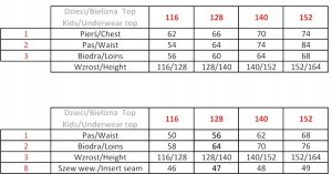 Viking Bielizna Viking Arctis Polartec Fleece (Kids set) - 500/21/9522 5