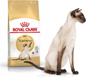 Royal Canin Siamese Adult karma sucha dla kotów dorosłych rasy syjamskiej 2 kg 1