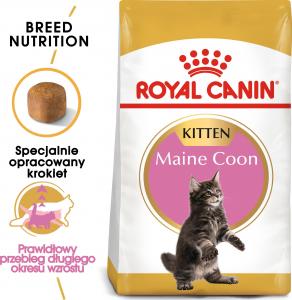 Royal Canin Maine Coon Kitten karma sucha dla kociąt, do 15 miesiąca, rasy maine coon 2kg 4