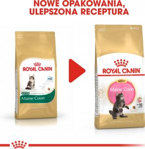 Royal Canin Maine Coon Kitten karma sucha dla kociąt, do 15 miesiąca, rasy maine coon 2kg 9