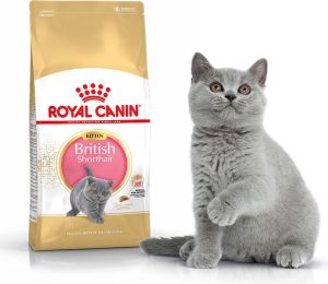 Royal Canin British Shorthair Kitten karma sucha dla kociąt, do 12 miesiąca, rasy brytyjski krótkowłosy 2kg 2