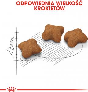 Royal Canin Kitten Sterilised karma sucha dla kociąt od 4 do 12 miesiąca życia, sterylizowanych 2 kg 5