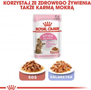 Royal Canin Kitten Sterilised karma sucha dla kociąt od 4 do 12 miesiąca życia, sterylizowanych 2 kg 6