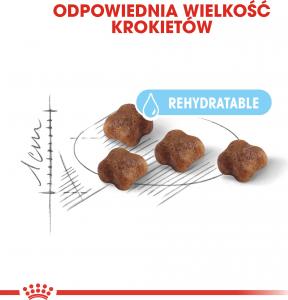 Royal Canin Mother & Babycat 36 2 kg 5