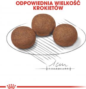 Royal Canin SHN Medium Puppy BF 15 kg 5