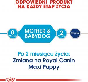 Royal Canin SHN Maxi Starter M&B 15 kg 2