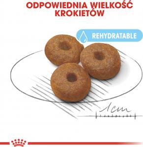 Royal Canin SHN Maxi Starter M&B 15 kg 4