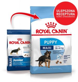 Royal Canin SHN Maxi Puppy Active 15 kg 1