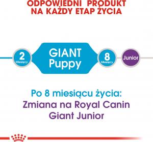 Royal Canin SHN Giant Puppy 15 kg 4
