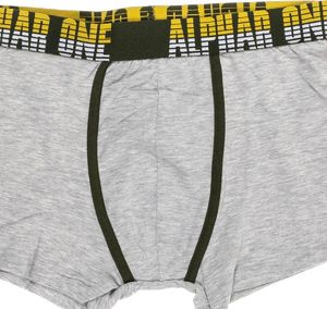 Pepco PEPCO Szorty męskie z szeroką gumą L Szary melanż 3