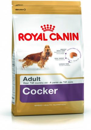 Royal Canin Cocker Spaniel Adult karma sucha dla psów dorosłych rasy cocker spaniel 12 kg 1