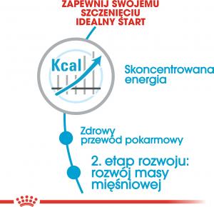 Royal Canin SHN Giant Junior 15 kg 5