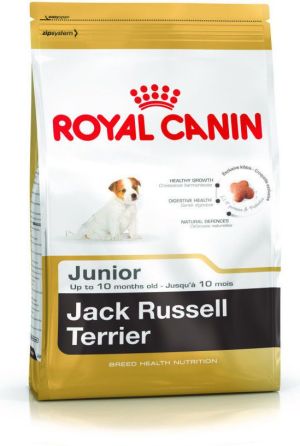 Royal Canin Jack Russell Terrier Junior karma sucha dla szczeniąt do 10 miesiąca, rasy jack russel terrier 3kg 1