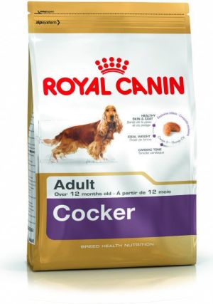 Royal Canin Cocker Adult 3 kg 1