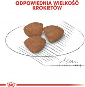 Royal Canin SHN Mini Puppy BF 2 kg 5