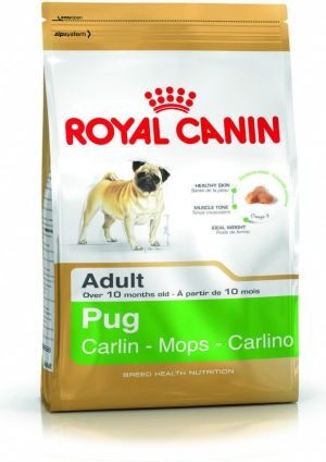 Royal Canin Pug Adult 1.5 kg 1