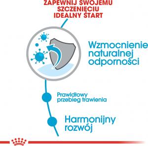 Royal Canin SHN Mini Puppy BF 800g 4