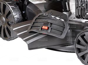 Kosiarka spalinowa Cedrus KS53S 13