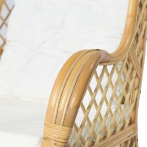 vidaXL Fotel z poduszką, naturalny rattan i len 6
