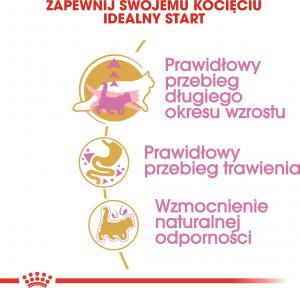 Royal Canin Maine Coon Kitten karma sucha dla kociąt, do 15 miesiąca, rasy maine coon 0.4kg 5