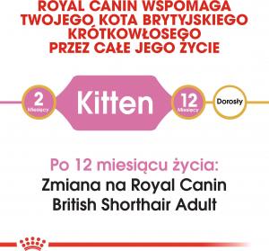 Royal Canin British Shorthair Kitten karma sucha dla kociąt, do 12 miesiąca, rasy brytyjski krótkowłosy 0.4kg 4
