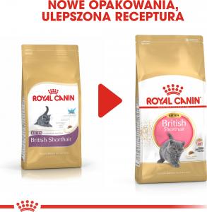 Royal Canin British Shorthair Kitten karma sucha dla kociąt, do 12 miesiąca, rasy brytyjski krótkowłosy 0.4kg 8