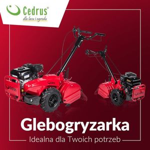 Glebogryzarka Cedrus CEDRUS GL03 PRO-B&S GLEBOGRYZARKA SPALINOWA PRZECIWBIEŻNA KULTYWATOR 6.5KM / 45cm SILNIK B&S Briggs&Stratton GL03 - EWIMAX - OFICJALNY DYSTRYBUTOR - AUTORYZOWANY DEALER CEDRUS 30