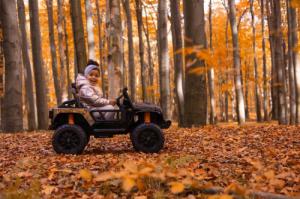 Toyz TERENOWY POJAZD AKUMULATOROWY RINGO BLACK 11