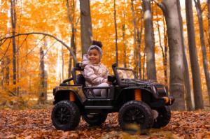 Toyz TERENOWY POJAZD AKUMULATOROWY RINGO BLACK 12