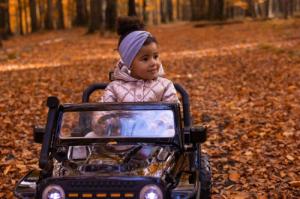 Toyz TERENOWY POJAZD AKUMULATOROWY RINGO BLACK 13