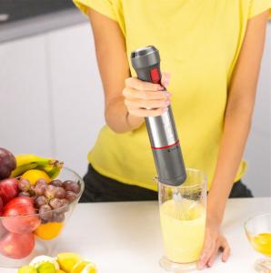 Blender Zelmer ZHB4650 3