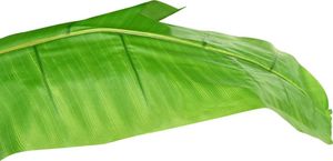 vidaXL Sztuczne drzewko bananowe z doniczką, 115 cm, zielone 4
