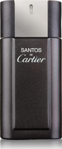 Cartier Santos de Cartier EDT 100 ml (Discontinued) 1