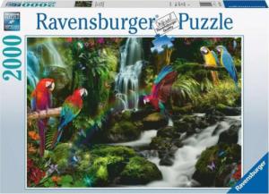 Ravensburger Puzzle 2000el Papugi w dżungli 171118 RAVENSBURGER 1