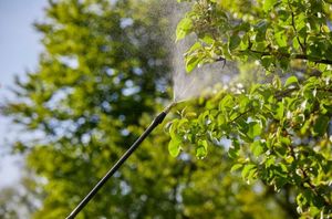 Gardena Opryskiwacz plecakowy 12 litrów niebieski / czarny 3