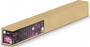 Lampa wisząca Philips Philips Hue Ensis white 2x39W 24V 3