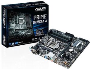 Płyta główna Asus PRIME B250M-A 6