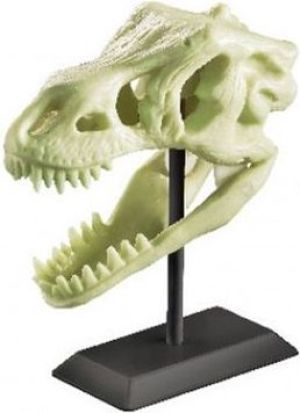 Figurka 4M Świecąca czaszka dinozaura (3308) 1