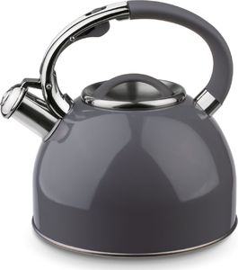 Tadar Czajnik ze stali nierdzewnej indukcja gaz Tadar Colorado 2,5 l 2