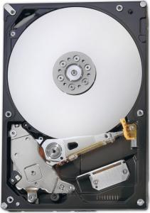 Dysk Fujitsu 1 TB 3.5" SATA III (S26462-F3500-L100) 1