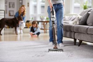 Odkurzacz pionowy Bissell Icon Advanced 25V 2602C + SmartClean Pet 2228N 16